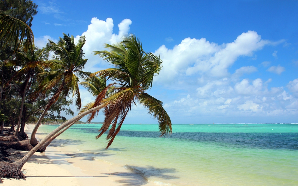 14 adventurous days in Dominican Republic